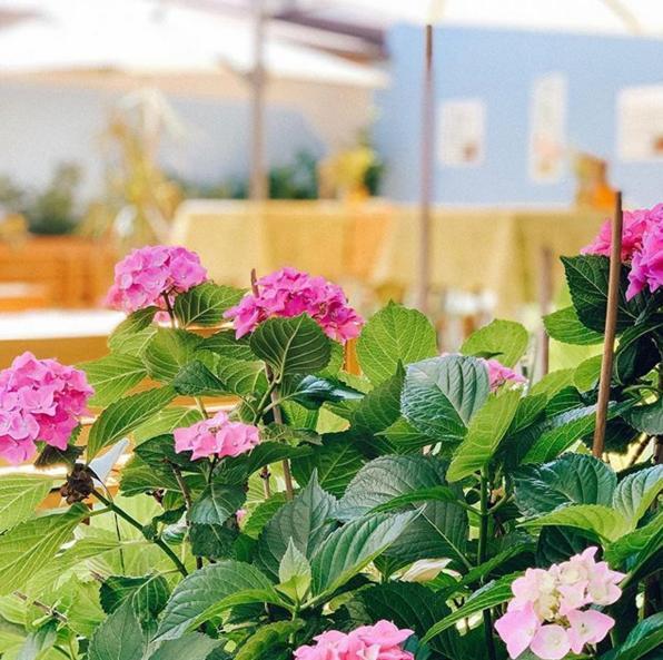 Hotel Bayrischer Hof Wels Zewnętrze zdjęcie